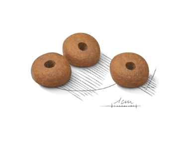 Консервированный корм для собак Royal Canin Medium Adult