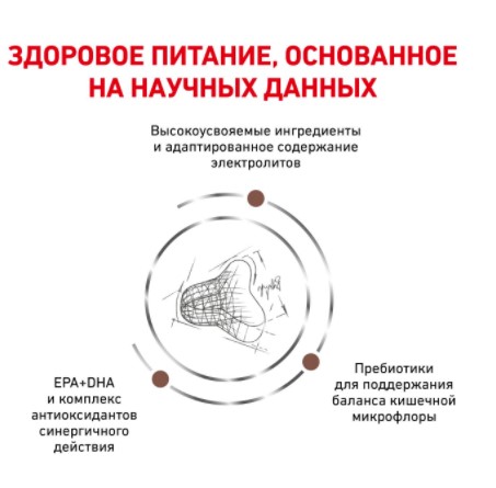 Сухой корм для кошек Royal Canin Gastrointestinal Fibre Response диетический корм для взрослых кошек