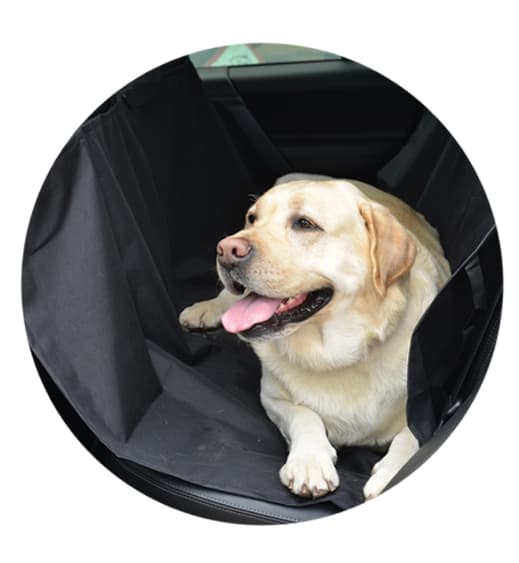 Накидка-чехол для перевозки собак 1450*1500 мм (31842001)