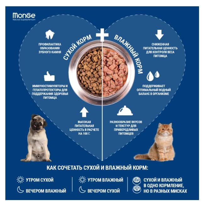 Каталог Сухой корм для щенков Monge Dog Monoprotein Mini Puppy & Junior (лосось, рис) для собак