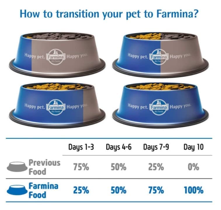 Каталог Сухой корм для собак Мини пород Farmina N&D LG Adult Mini (курица, гранат) для собак