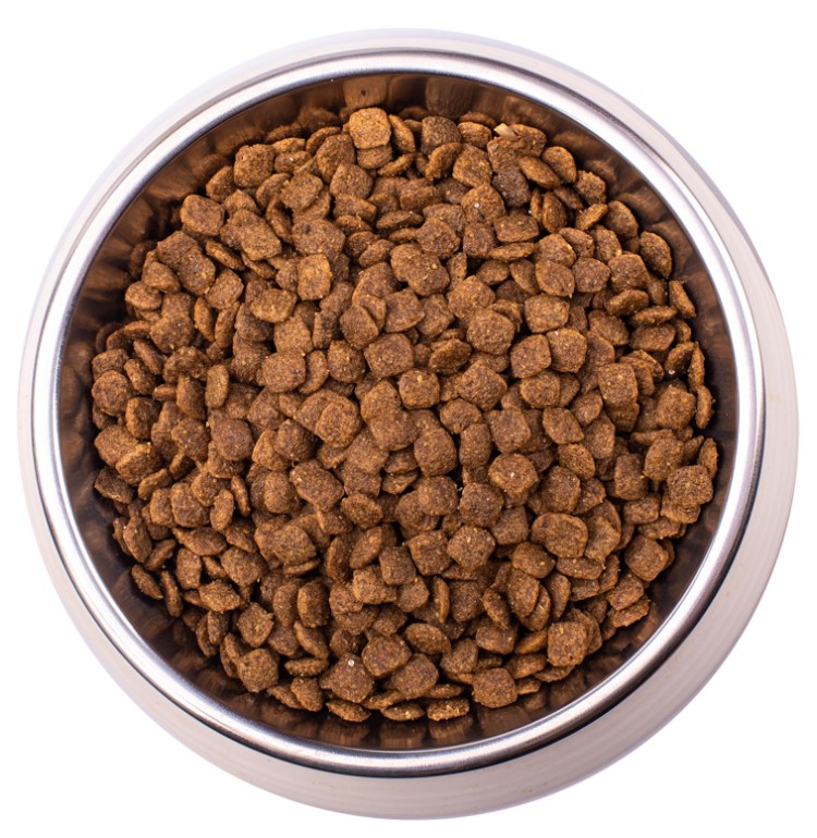 Рацион для кошек Monge VetSolution Hepatic Cat