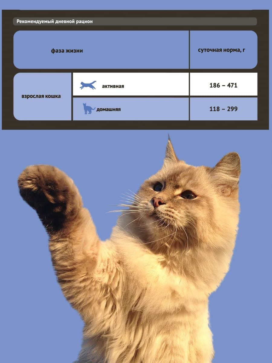 Мокрая еда для стерилизованных кошек ProBalance Sterilized Cat (курица)