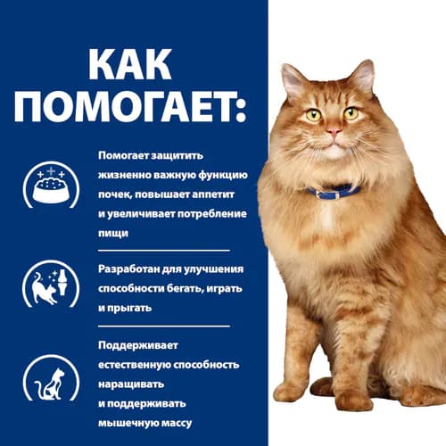 Сухой корм для кошек Hill's Prescription Diet k/d, Mobility Kidney, Joint Care (курица)