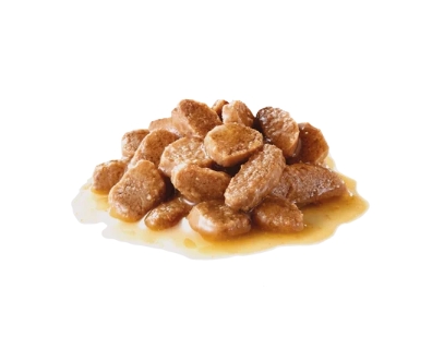 Пресервы для собак Royal Canin Mini Ageing (соус) 