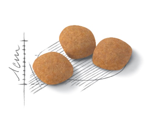 Сухой корм для кошек Royal Canin Protein Exigent полнорационный сухой корм для кошек особо чувствительных к составу корма