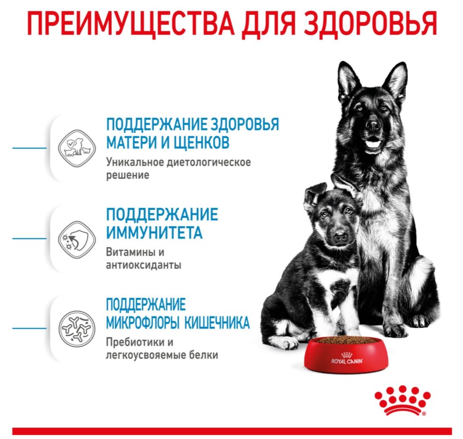 Еда для щенков Сухой корм для щенков Royal Canin Maxi Starter