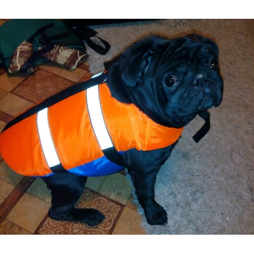 жилет спасательный для собак  средних и мелких пород "Bony"