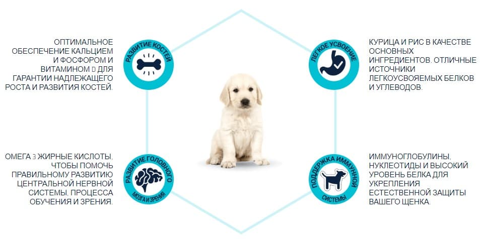 Еда для щенков крупных пород Сухой корм для щенков крупных пород Advance Dog Puppy Maxi (курица)