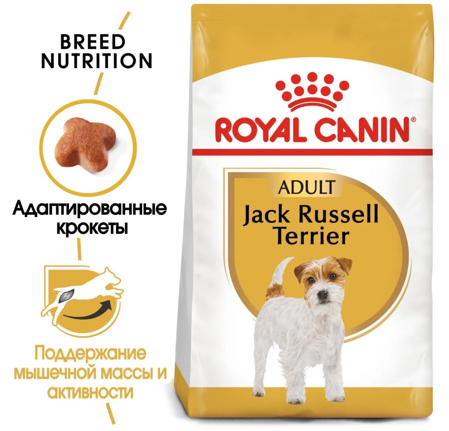 Питание для собак Сухой корм для собак Royal Canin Jack Russell Adult
