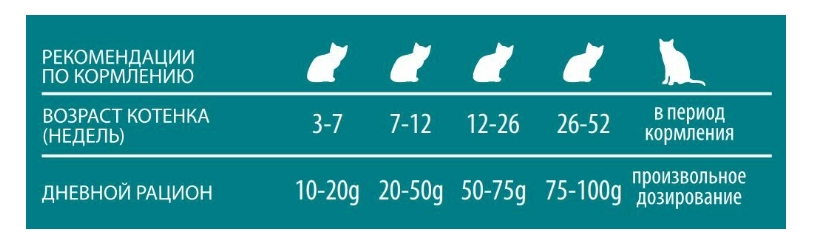 Сухой корм для котят PET360 ESSENTIA Kitten (свинина)