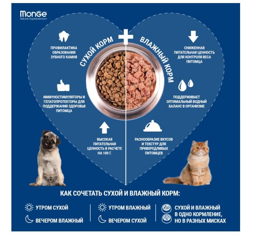 Консервы для собак Monge Fruit Dog Adult (утка, апельсин)