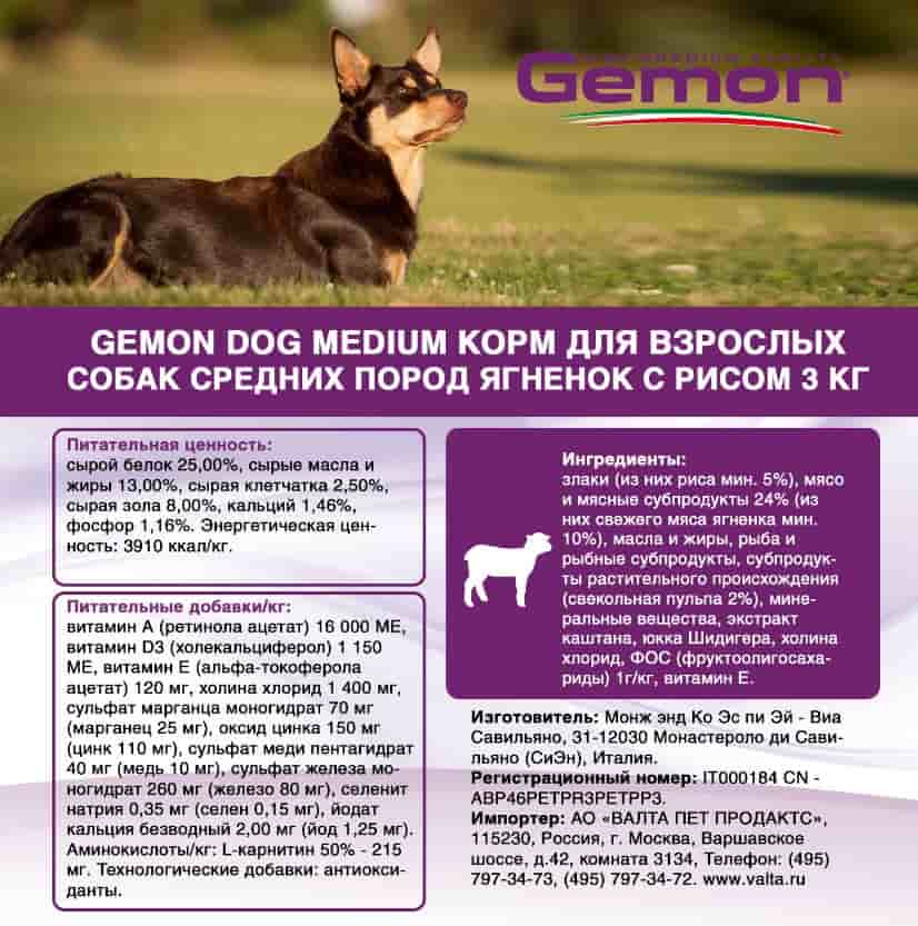 Каталог Сухой корм для собак Gemon Dog Medium Adult (ягненок, рис) для собак