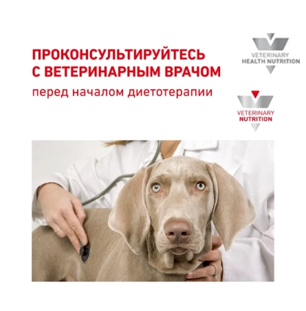 Ветеринарный корм для собак Сухой корм для собак Royal Canin Sensitivity Control Dog