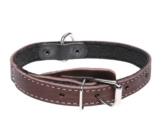 Ошейник кожаный на синтепоне с кольцом Gamma
