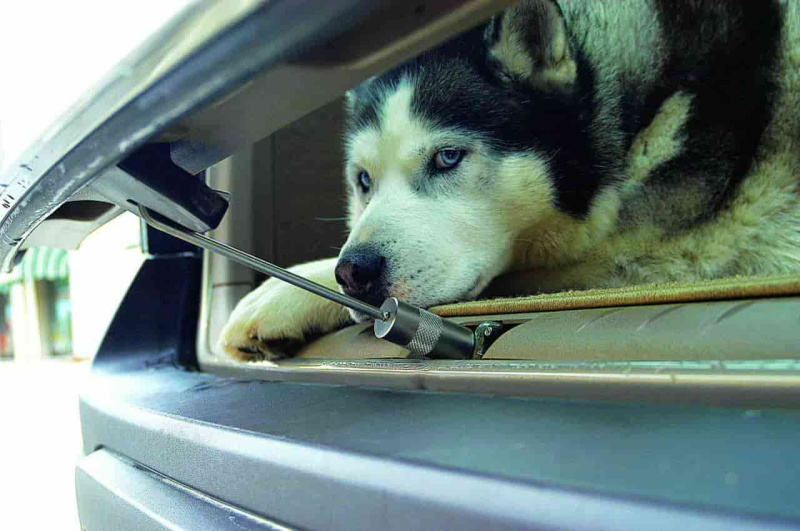 Замок подпорка для багажника 16 см (CW150)