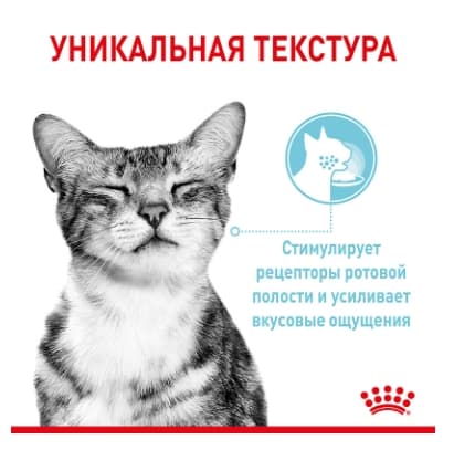 Влажный рацион для кошек Royal Canin Sensory Feel (соус)