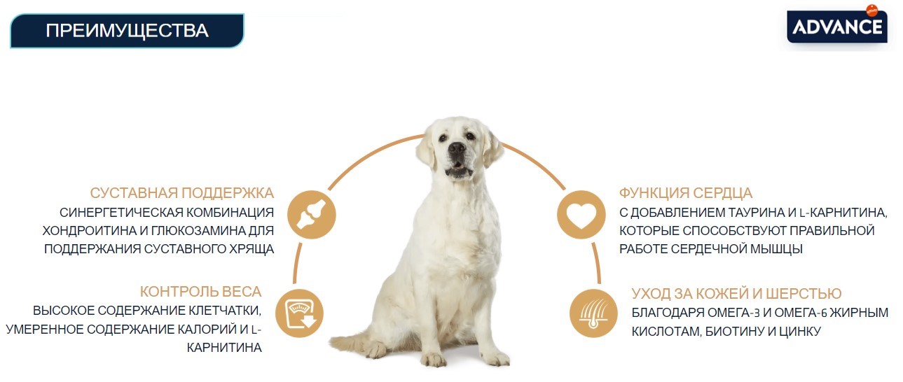 Еда для лабрадора Сухой корм для собак Advance Labrador Retriever (курица)