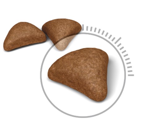 Сухой корм для кошек Royal Canin Hairball Care корм для кошек живущих в помещении, в возрасте от 1 до 7 лет, склонных к образованию волосяных комочков.