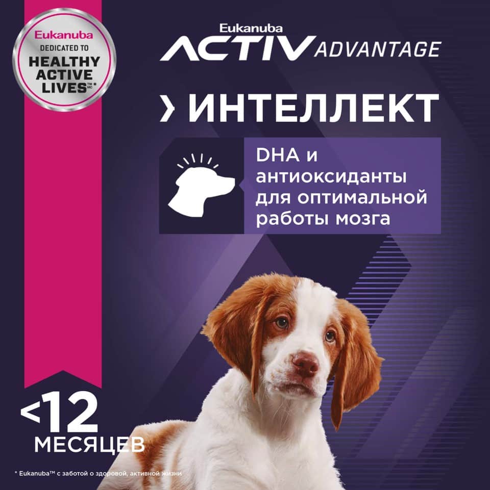 Пища для щенков средних пород Сухой корм для щенков Eukanuba Puppy Medium Breed (птица)