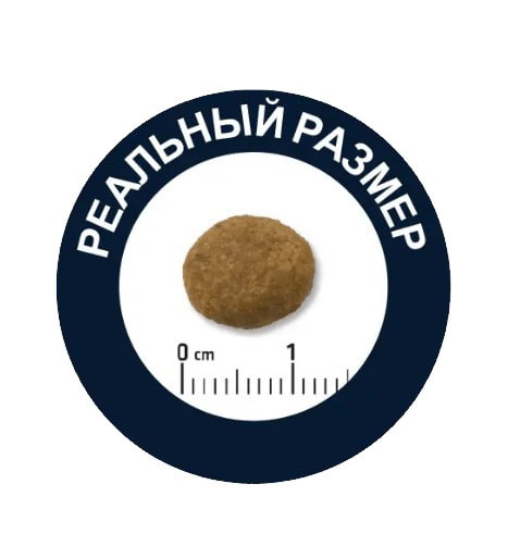 Еда для щенков крупных пород Сухой корм для щенков крупных пород Advance Dog Puppy Maxi (курица)