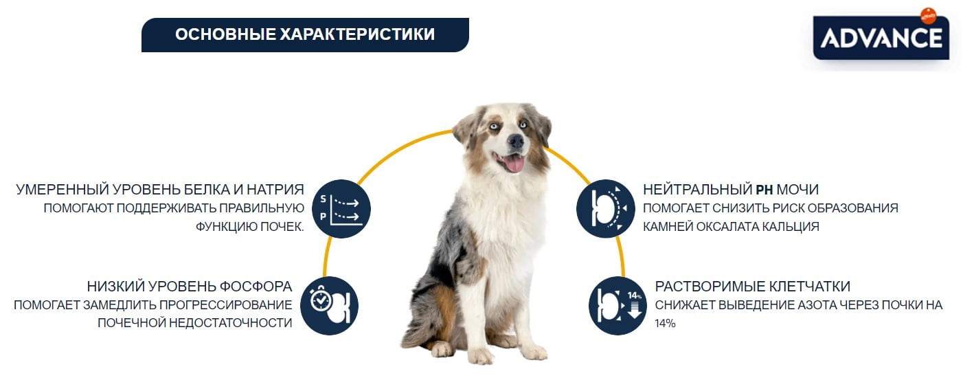 Диета для собак Сухой корм для собак Advance Veterinary Diets Renal