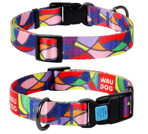 Ошейник с рисунком ВИТРАЖ "WAUDOG" Nylon