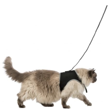 Набор для кошек "TRIXIE" шлея 36-54 см + поводок 1.2 м (41895)
