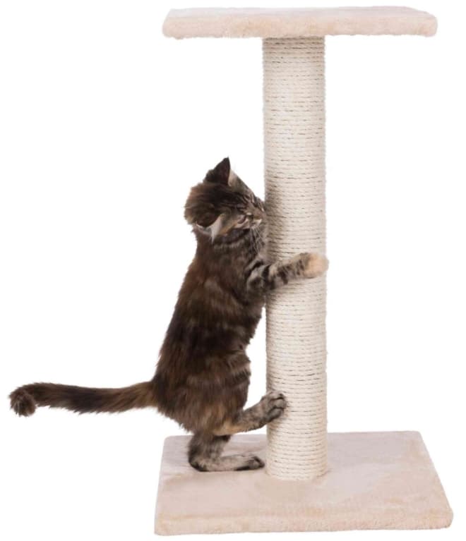 Когтеточка TRIXIE Espejo 69 см (43341)