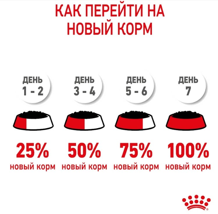Паучи для котят Royal Canin Kitten Sterilized в соусе 
