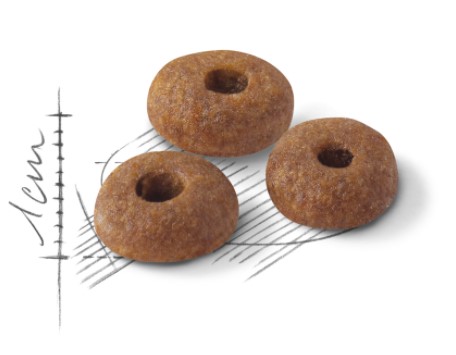 Сбалансированный корм для активных кошек Royal Canin Fit 32