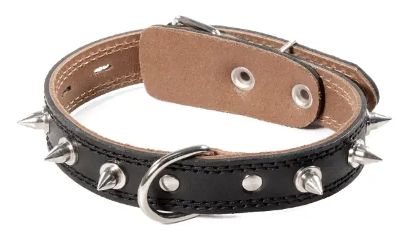 Ошейник кожаный для собак Gamma "Шипы"