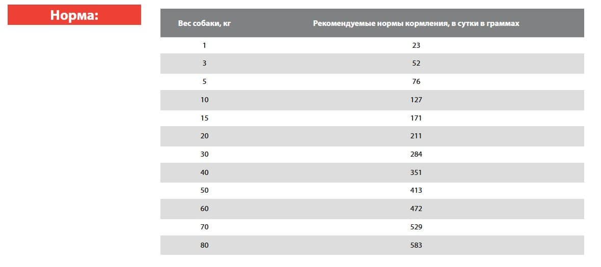 Каталог Сухой корм для собак BLITZ Dog Vetline Hepatic (индейка) для собак