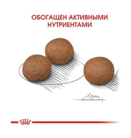 Еда для собак Сухой корм для собак Royal Canin Medium Digestive Care