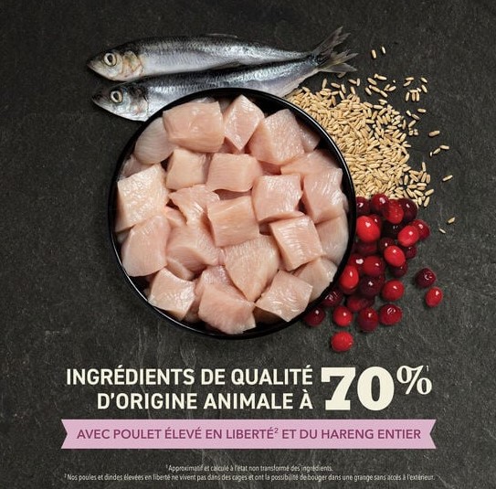 Сухой корм для котят ACANA FIRST FEAST KITTEN