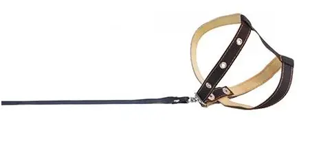 Шлея с поводком капрон ш 14 мм, д 130 см