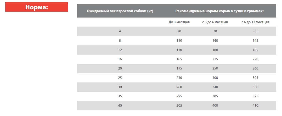 Каталог Сухой корм для щенков Blitz Holistic Puppy All Breeds (индейка, утка) для собак