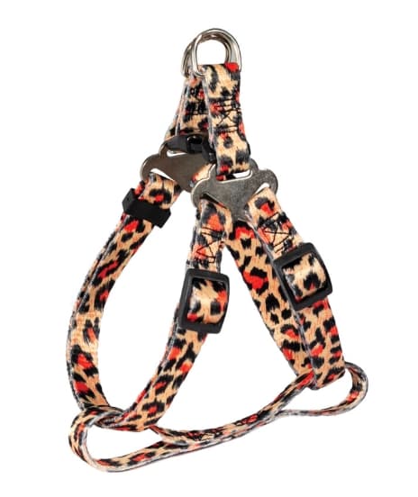 Комплект шлейка и поводок нейлоновый Абстракция