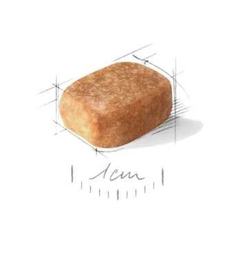 Питание для собак Сухой корм для собак Royal Canin Chihuahua Adult