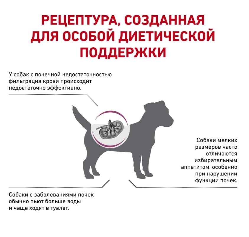 Каталог Сухой корм для собак Royal Canin Renal Small Dog для собак