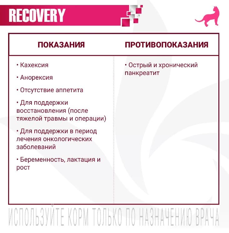 Лечебное питание для собак Monge VetSolution Recovery Dog