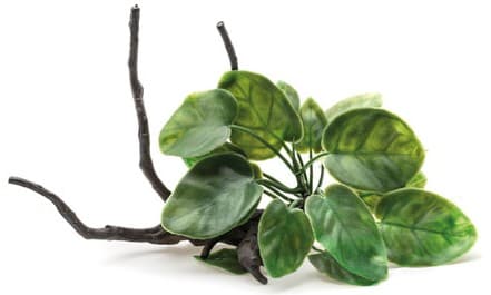 Растение на корне Aquael В2001 23×16×14 (246209)