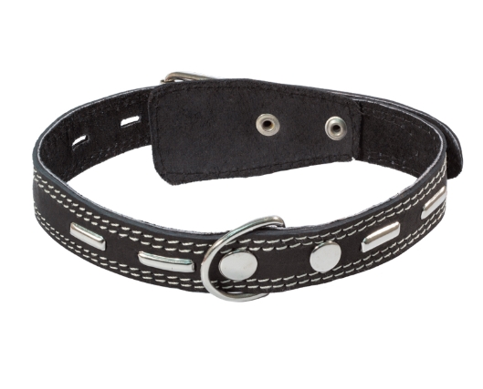 Ошейник кожаный c кольцом и украшением Gamma