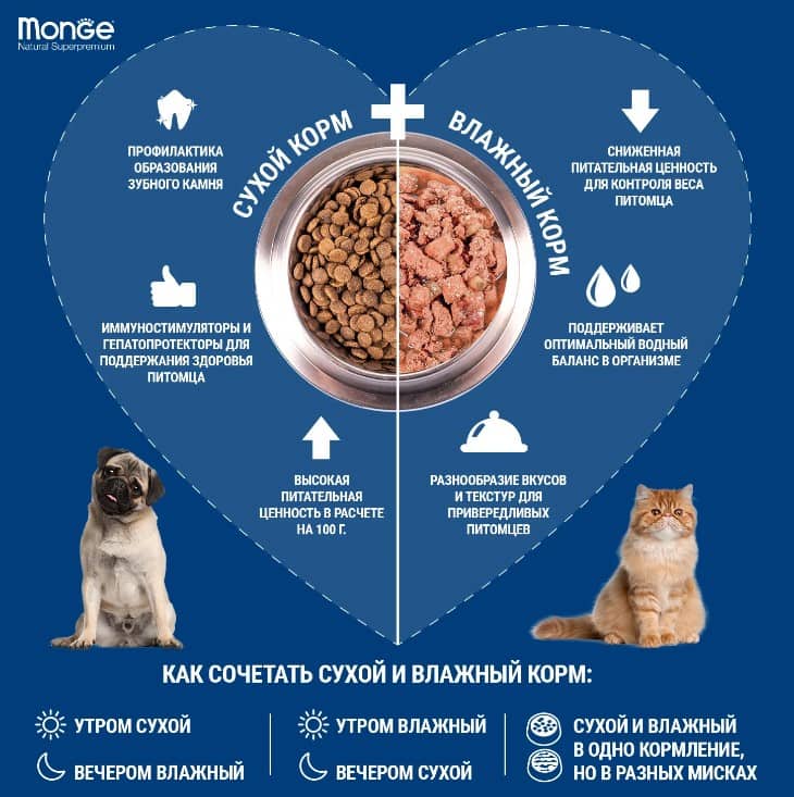 Еда для собак Monge Natural Monoprotein Fruits Dog Adult (индейка, цитрусовые)