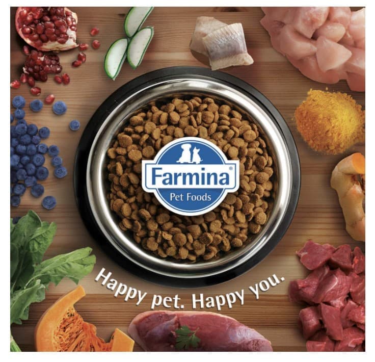 Сбалансированный корм Сухой корм для собак Farmina N&D LG Adult Medium & Maxi (ягнёнок, черника)