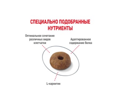 Сухой корм для кошек Royal Canin Light Weight Care полнорационный корм для взрослых кошек