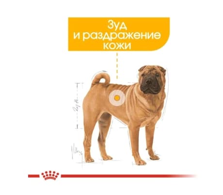 Еда для собак Сухой корм для собак Royal Canin Medium Dermacomfort