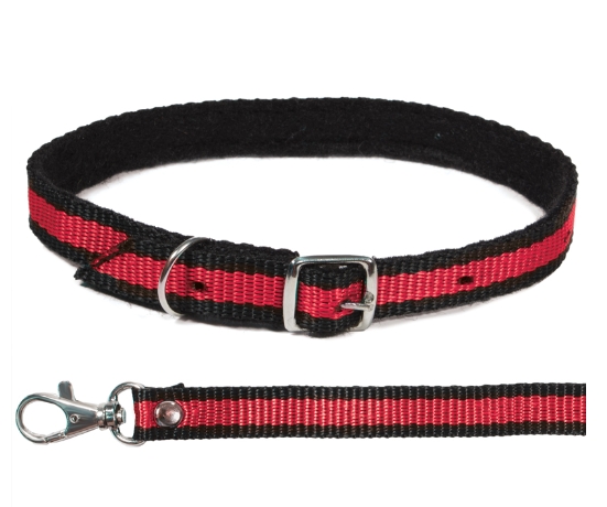 Комплект ошейник и поводок из капрона Gamma