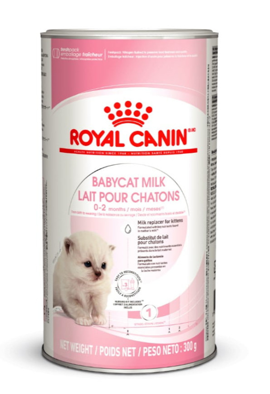 Молочная смесь для котят, как замена молока Сухое молоко для котят Royal Canin Babycat Milk