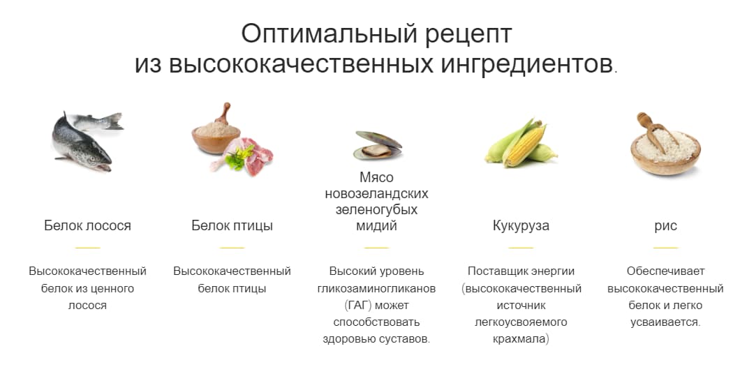 Еда для собак Josera Festival